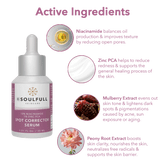 Be Soulfull Spot Corrector Serum with for Acne Scars & Spots | Reduces Acne marks, scars, blemishes | 30ML
