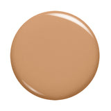 L'Oreal Paris Infallible 24H Fresh Wear Foundation, 260 Golden Sun