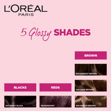 L'Oreal Paris Casting Crème Gloss Small Pack, 300 Darkest Brown, 45g