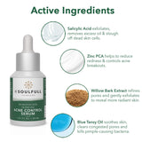 Be Soulfull Acne Control Serum for Oily & Acne-prone Skin| Treats Acne & Hyperpigmentation | 30ML